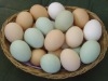 Chicken-Broiler-Hatching-eggs-Cobb-500-Ross-308-Grade-A-for-sale